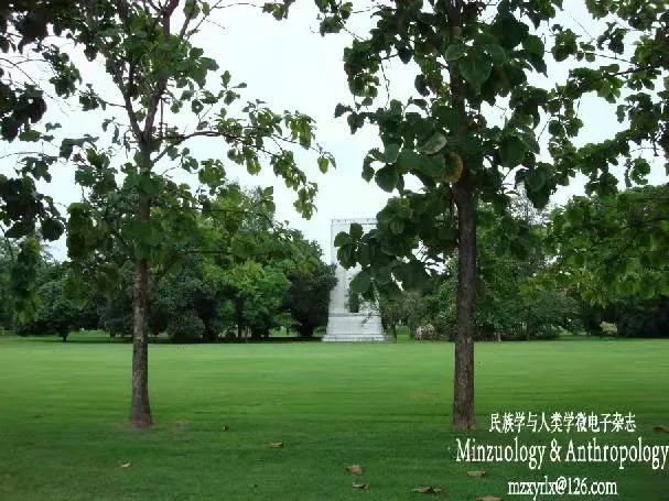 學?；顒又黝}名稱大全_學校進校門的墻文化_學校文化墻主題名稱