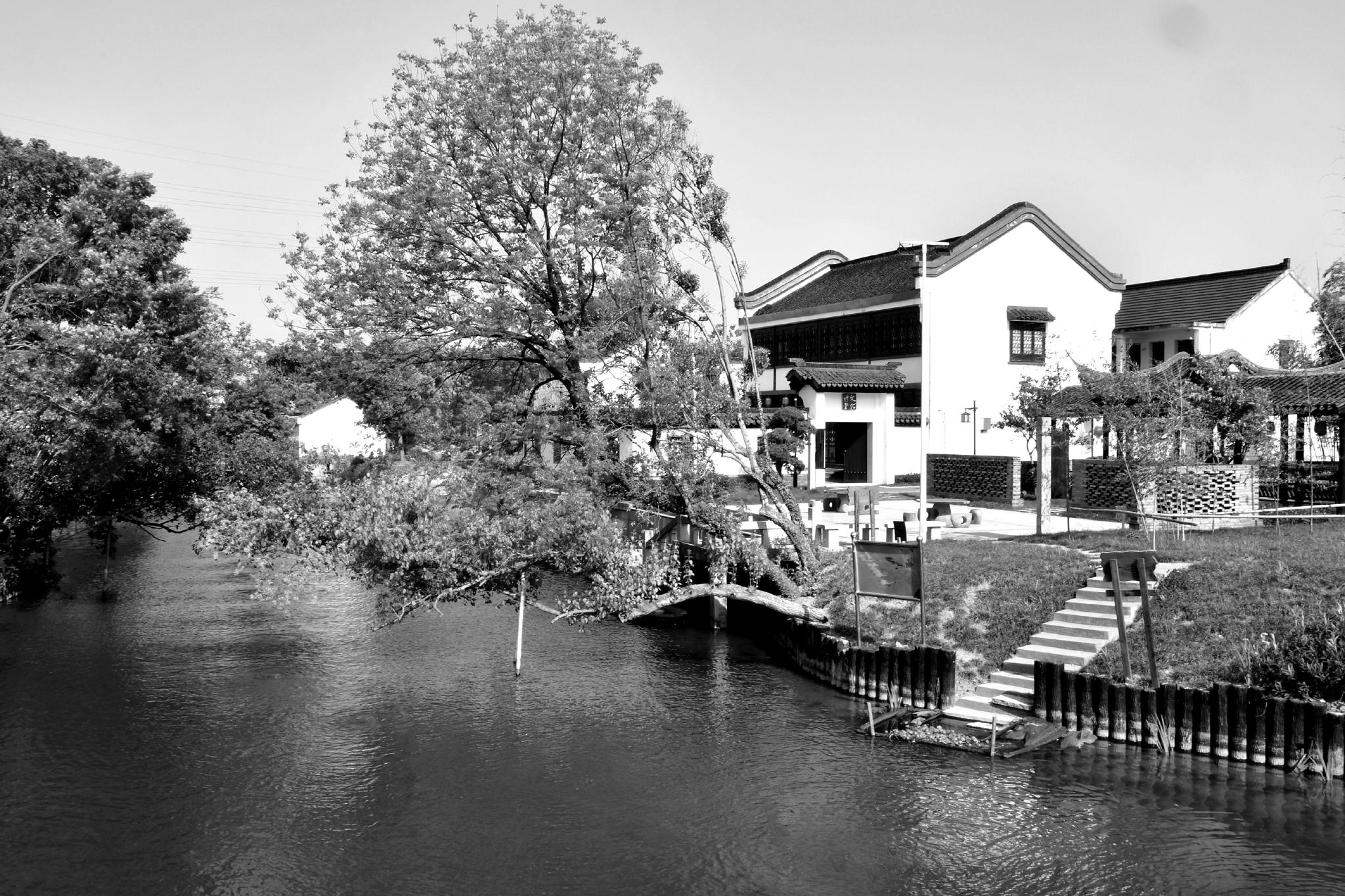 農(nóng)村美麗建設(shè)圖片大全_農(nóng)村房子建設(shè)圖片大全_太陽照耀美麗農(nóng)村圖片