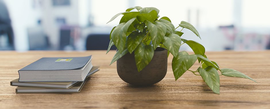 辦公室設(shè)計(jì)任務(wù)書(shū)_鹽城市市政府辦公室副秘書(shū)長(zhǎng)_寫(xiě)字樓辦公室文化墻