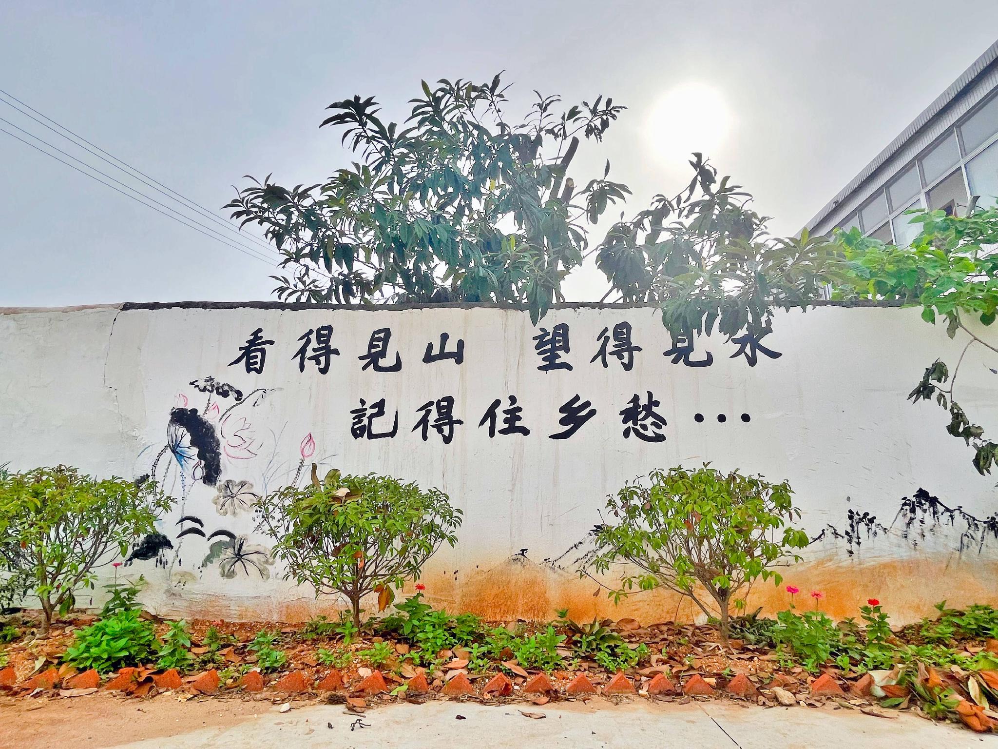 文化墻成為青山村一道靚麗風(fēng)景線 ?朱蔡銀攝