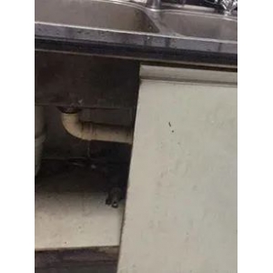 雪弗板做柜子結(jié)實(shí)嗎 西卡曼|給廚房賦予新的定義！