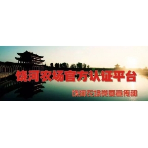 饒河農(nóng)場小學(xué)開展最美班級走廊文化墻設(shè)計(jì)活動