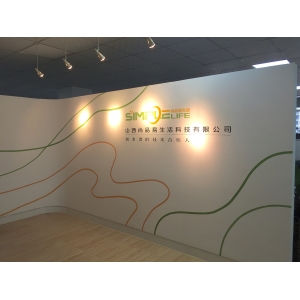 小公司形象墻_墻繪公司形象墻_公司形象墻設(shè)計(jì)模板